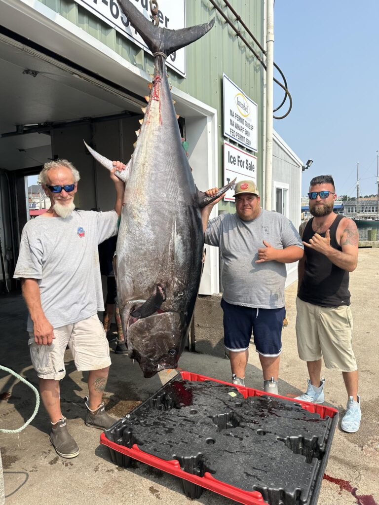 Facebook_creation_993E2D40-5639-4246-B1BF-358C2AE92CCF