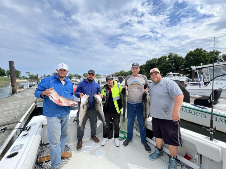 Facebook_creation_21B73A5D-5BA3-4B81-8C78-3818C6B45691