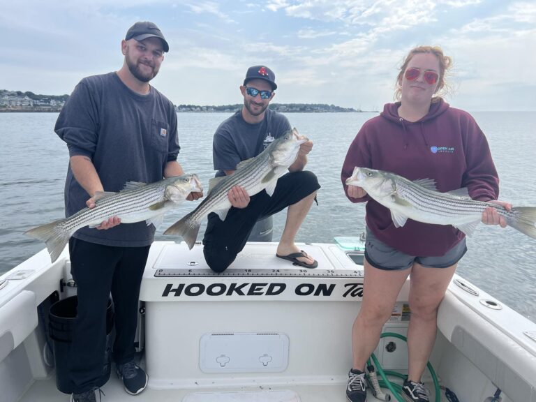 Facebook_creation_7409EEC1-D728-45A9-AC3F-E50DC850BC62