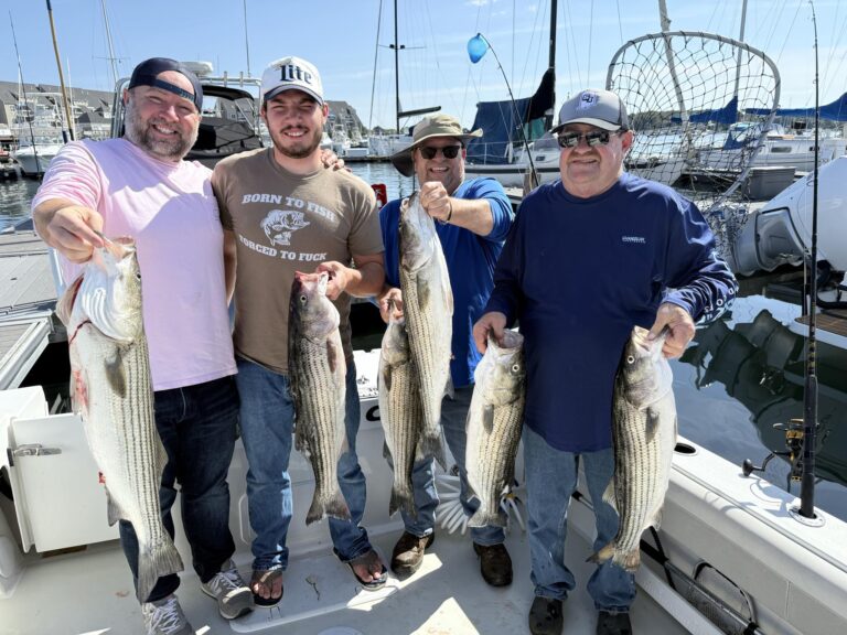 Facebook_creation_B42C6CF5-8C0C-499C-B304-E60D91317142