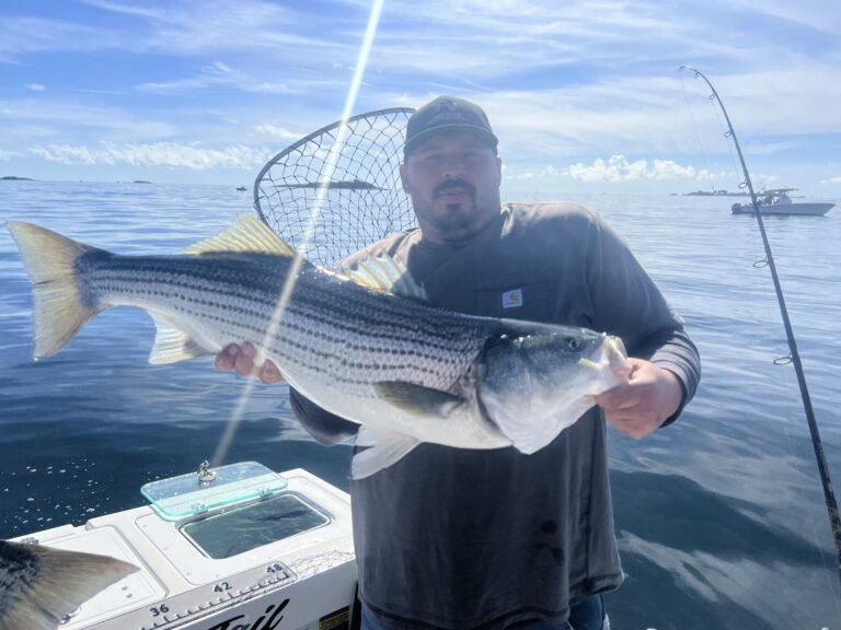 Facebook_creation_CA9BFED6-EDA3-49B1-A5BB-94299EBAAE57